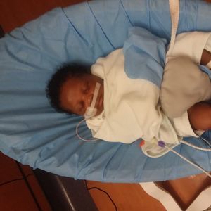 Meet your Posher, Beatrice